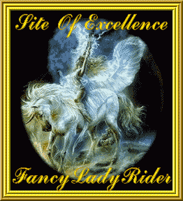 Fancy Lady Rider