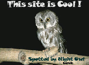 Night Owl's
